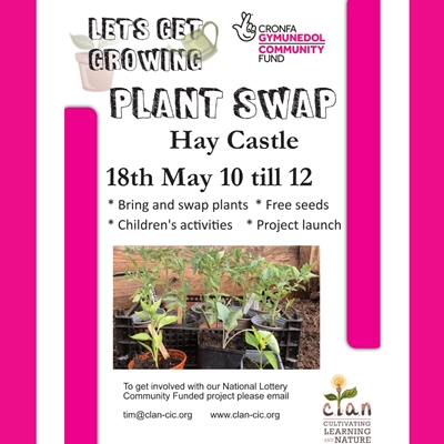 Plant Swap on the Lawn