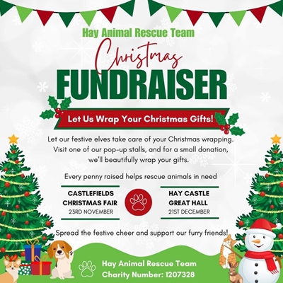 Christmas Fundraiser