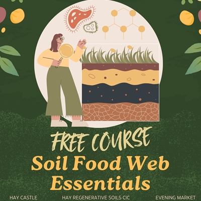 Soil Food Web Essentials