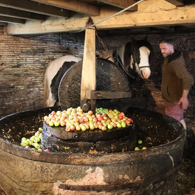 Talk on Watermills with Mary Morgan & Elizabeth Bingham