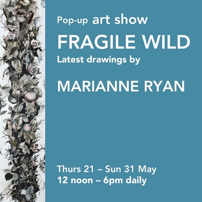 Pop-up Art Show by Marianne Ryan Pop-up Art Show by Marianne Ryan