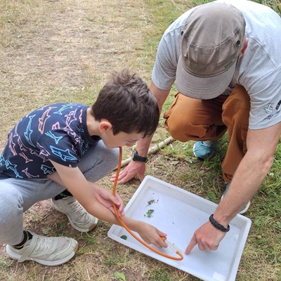 Soil Safari Workshop Soil Safari Workshop