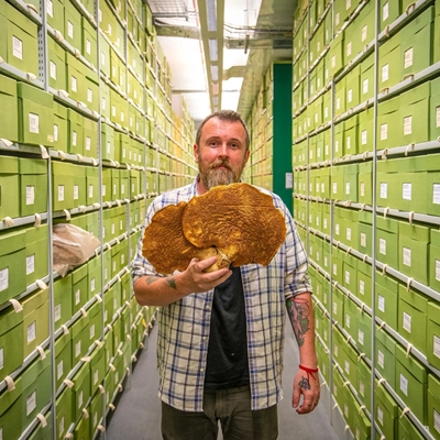 FUNGI TOWN Kew Confidential: Behind the scenes at the world’s largest fungi collection. FUNGI TOWN Kew Confidential: Behind the scenes at the world’s largest fungi collection.