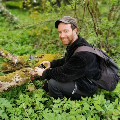 FUNGI TOWN What Britain's oldest oaks owe to rot FUNGI TOWN What Britain's oldest oaks owe to rot