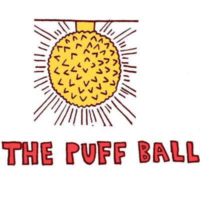 FUNGI TOWN Puffball FUNGI TOWN Puffball